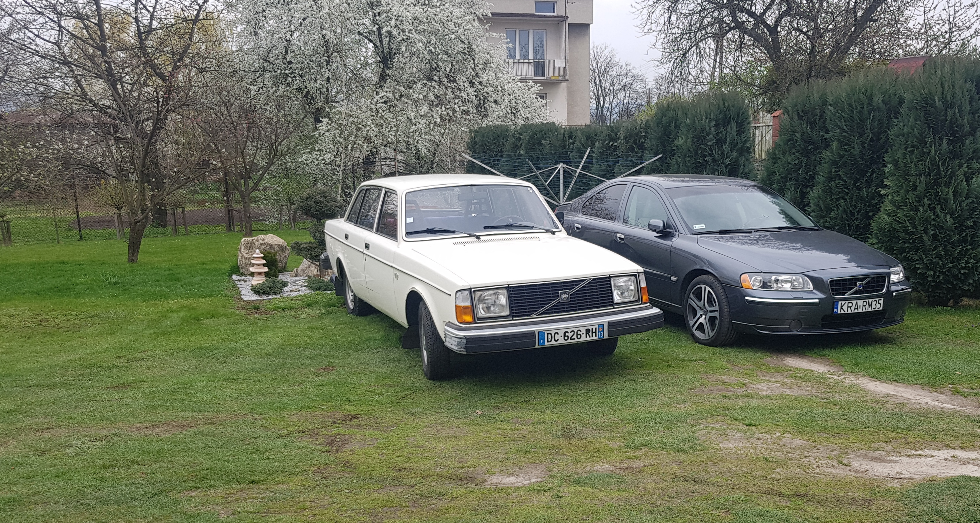 20190411_141551.jpg