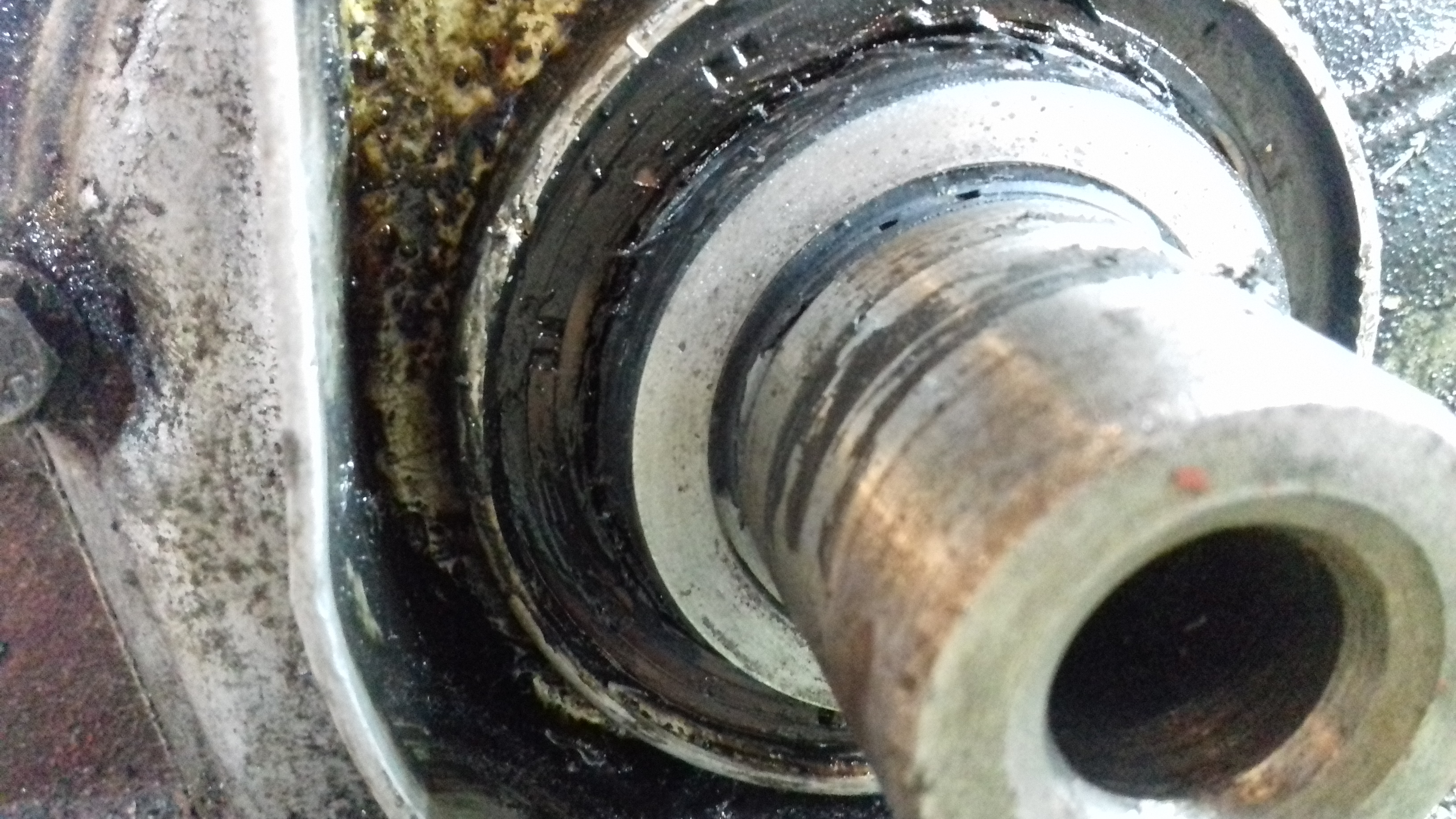 20191114_092824.jpg