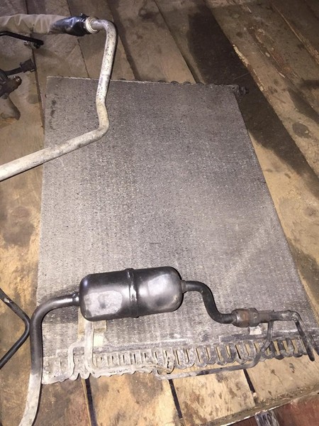 13900637_10209827618224514_1283431487_n (1).jpg