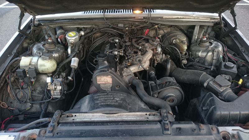 DSC_0027 [800x600].JPG