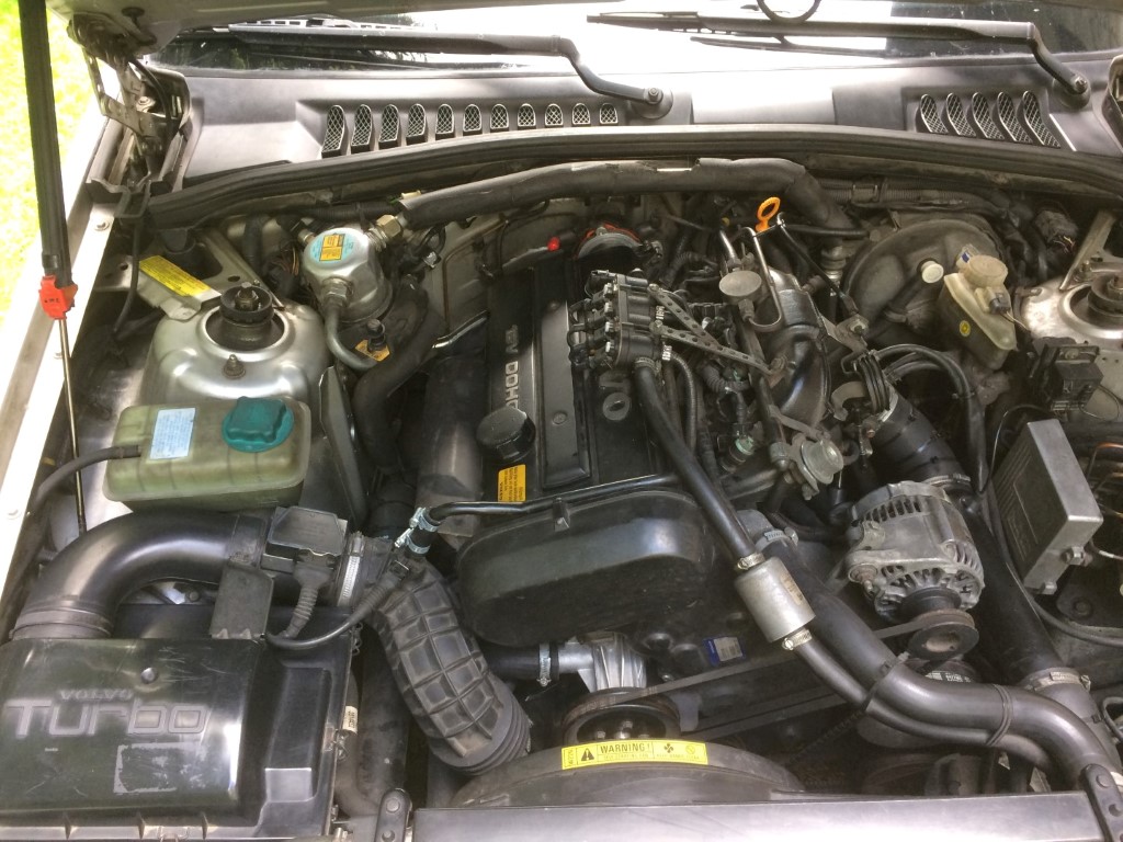 IMG_6079 (Large) (Medium).JPG