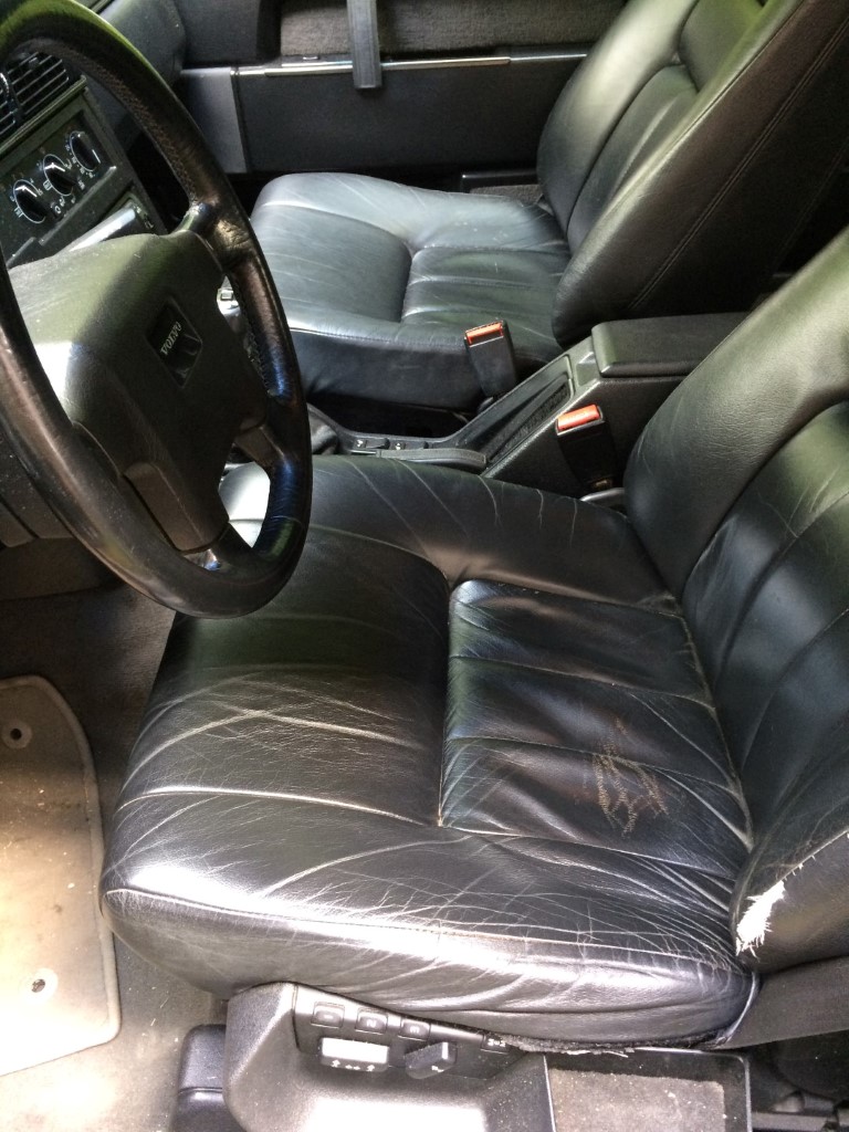 IMG_6084 (Large) (Medium).JPG