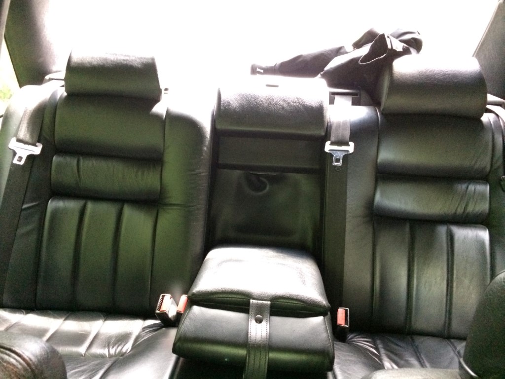 IMG_6086 (Large) (Medium).JPG