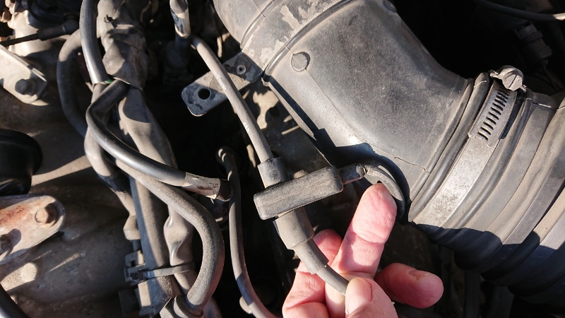 DSC_1623 (800x450).jpg